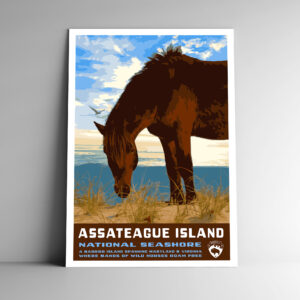 Assateague Island National Seashore Poster / Postcard