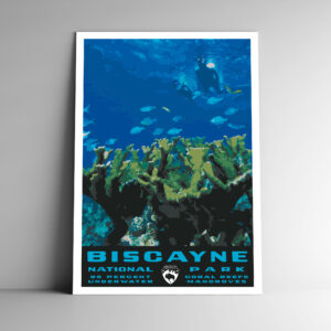 Biscayne National Park Poster / Postcard
