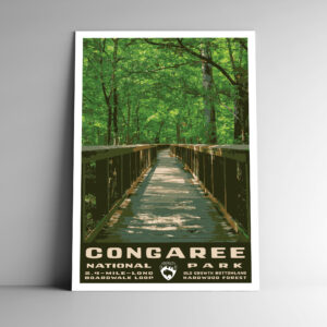 Congaree National Park Poster / Postcard