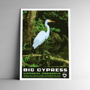 Big Cypress National Preserve Poster / Postcard