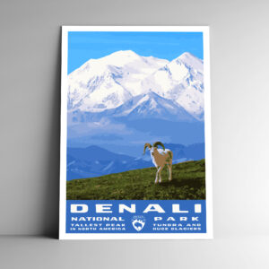 Denali National Park Poster / Postcard
