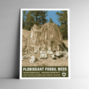 Florissant Fossil Beds National Monument Poster / Postcard