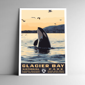 Glacier Bay National Park Poster / Postcard