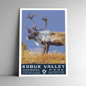 Kobuk Valley National Park Poster / Postcard