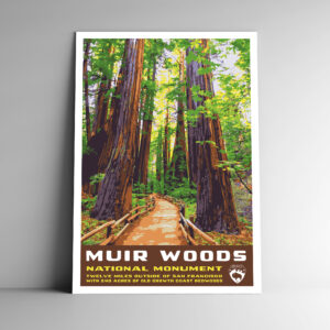 Muir Woods National Monument Poster / Postcard