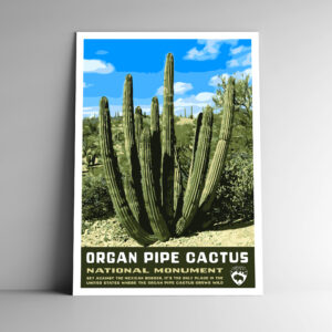 Organ Pipe Cactus National Monument Poster / Postcard