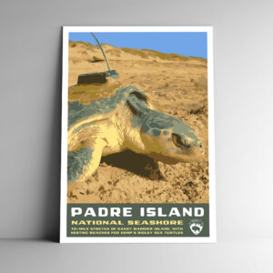 Padre Island National Seashore Poster / Postcard