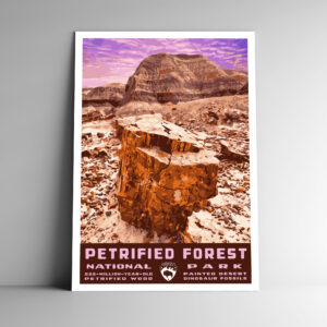Petrified Forest National Park Poster / Postcard