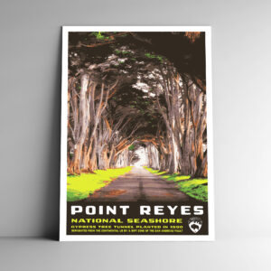 Point Reyes National Seashore Poster / Postcard
