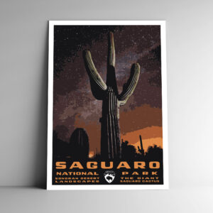 Saguaro National Park Poster / Postcard