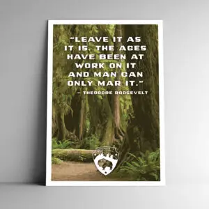 "Leave it as it is" Roosevelt Quote Hoh Rainforest Poster / Postcard
