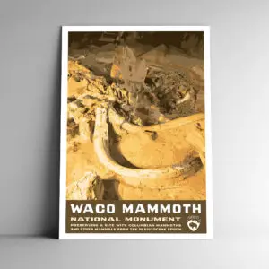 Waco Mammoth National Monument Poster / Postcard